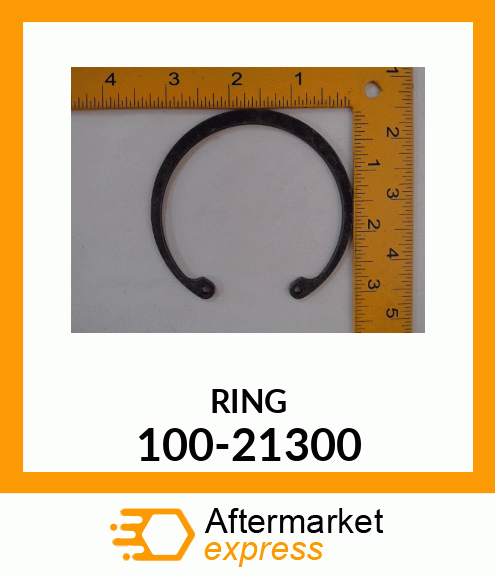 RING 100-21300