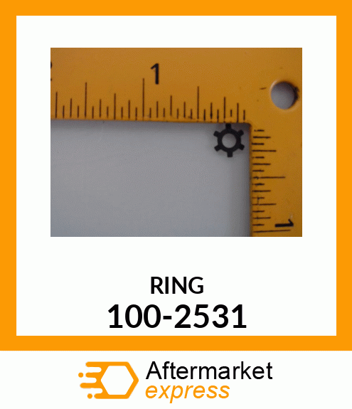 RING 100-2531
