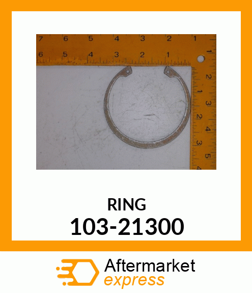 RING 103-21300