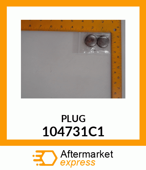 PLUG 104731C1