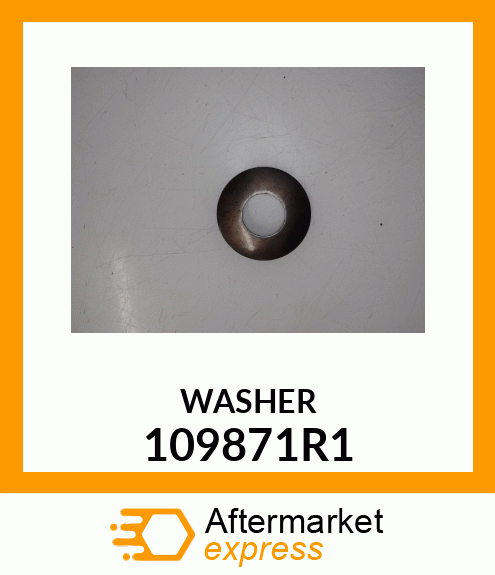 WASHER 109871R1