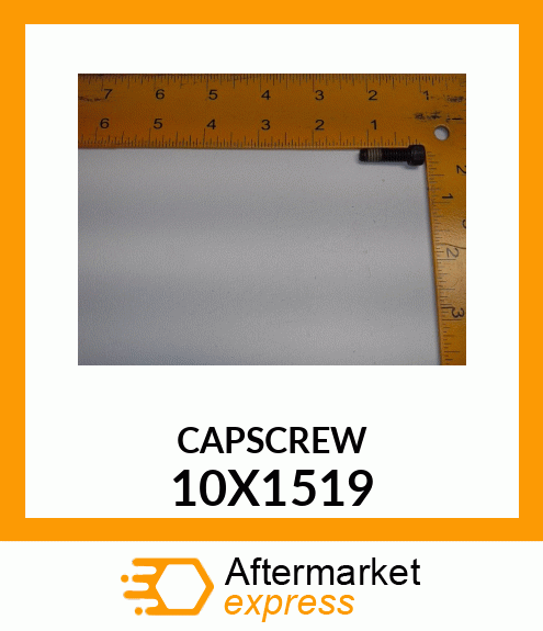 CAPSCREW 10X1519