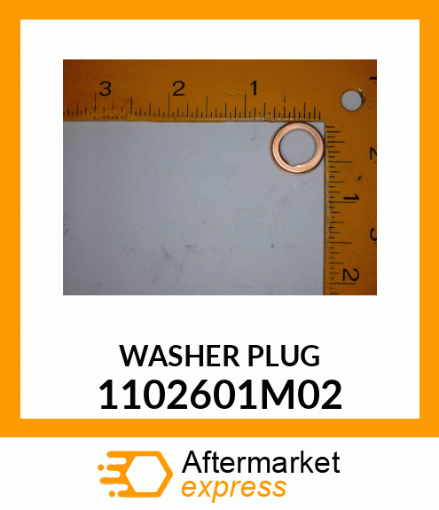 WASHER PLUG 1102601M02