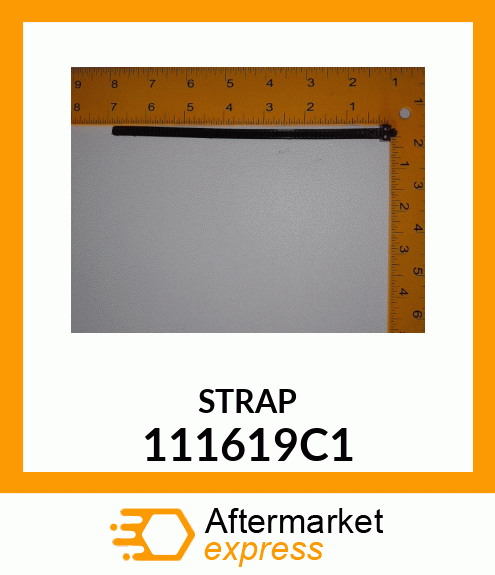 STRAP 111619C1