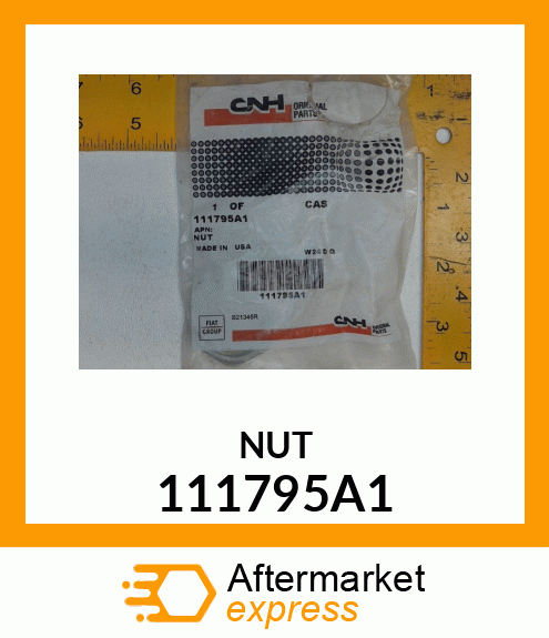 NUT 111795A1