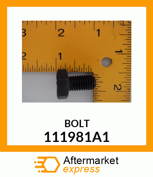 BOLT 111981A1