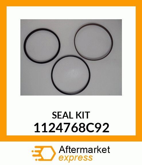 SEAL KIT 1124768C92