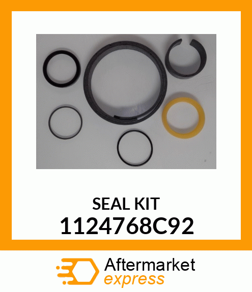 SEAL KIT 1124768C92