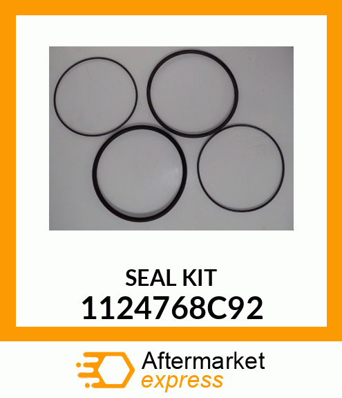 SEAL KIT 1124768C92