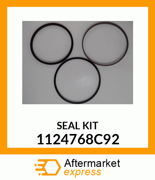 SEAL KIT 1124768C92