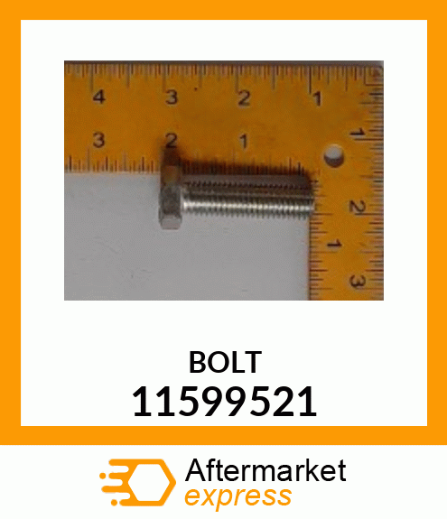 BOLT 11599521