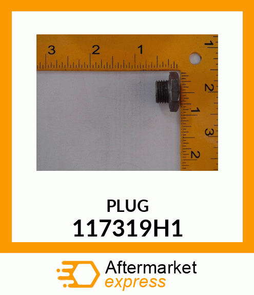 PLUG 117319H1