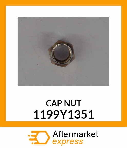 CAP NUT 1199Y1351