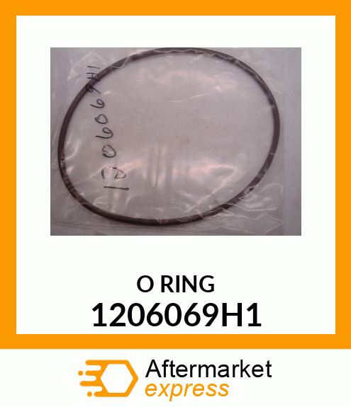 O RING 1206069H1