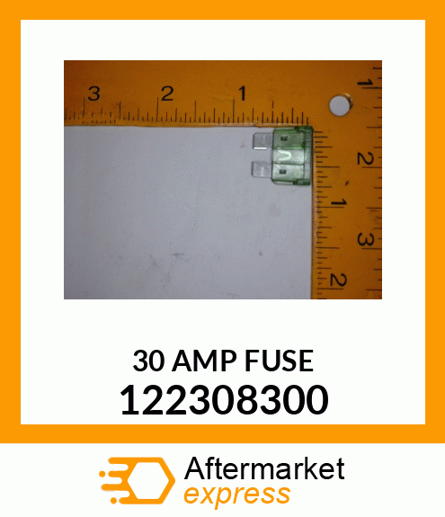 30 AMP FUSE 122308300