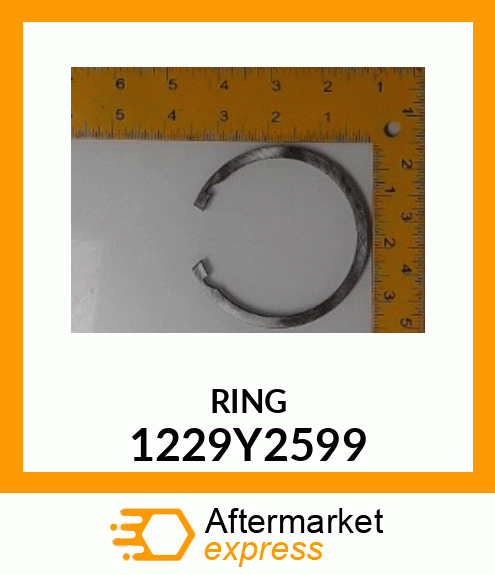 RING 1229Y2599