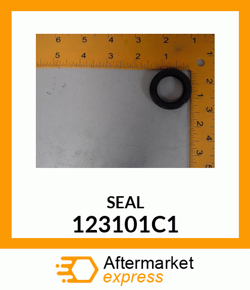 SEAL 123101C1