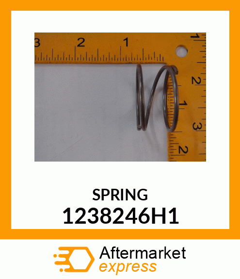 SPRING 1238246H1