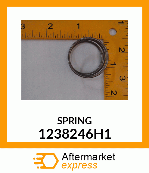 SPRING 1238246H1