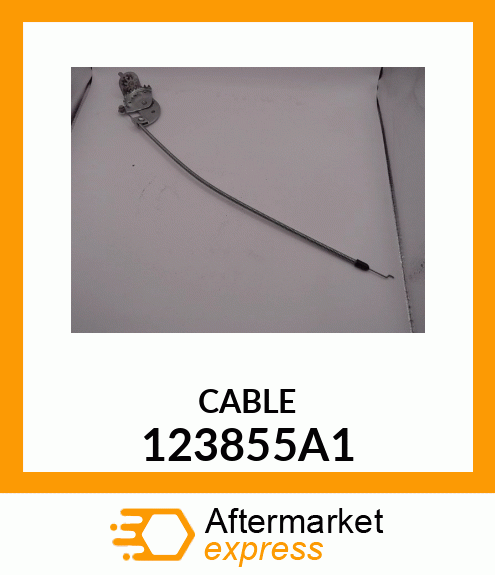 CABLE 123855A1