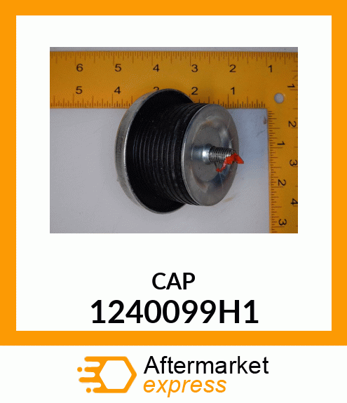 CAP 1240099H1