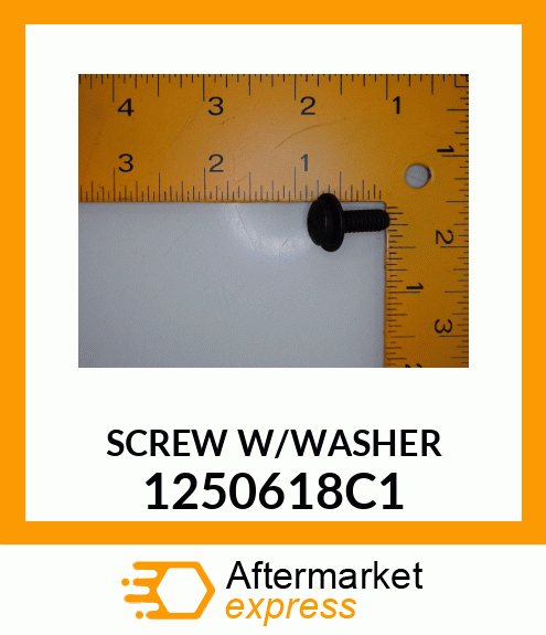 SCREW W/WASHER 1250618C1