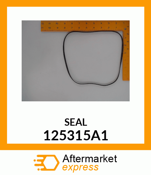 SEAL 125315A1