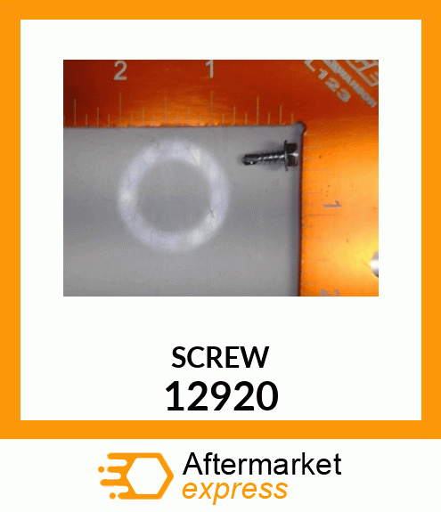 SCREW 12920