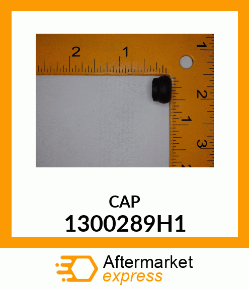 CAP 1300289H1