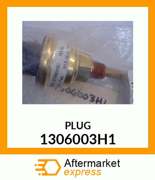 PLUG 1306003H1