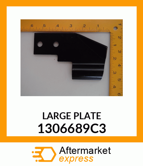 LARGE PLATE 1306689C3