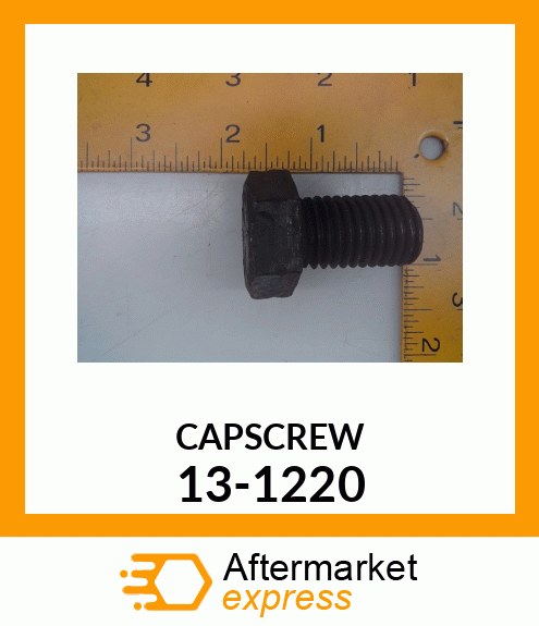 CAPSCREW 13-1220