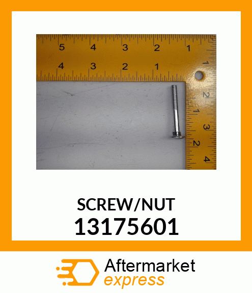 SCREW/NUT 13175601