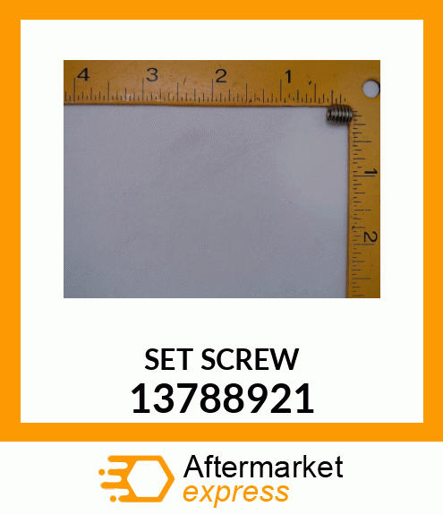 SET SCREW 13788921