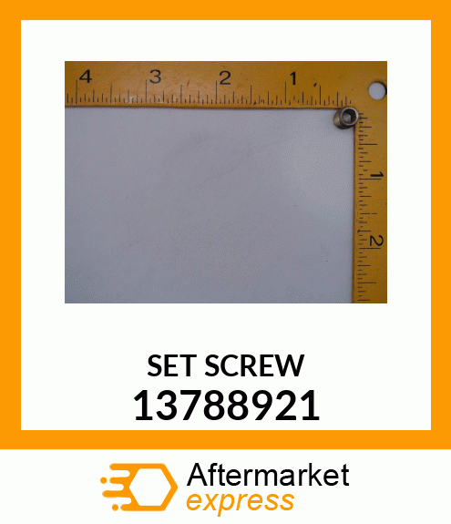 SET SCREW 13788921