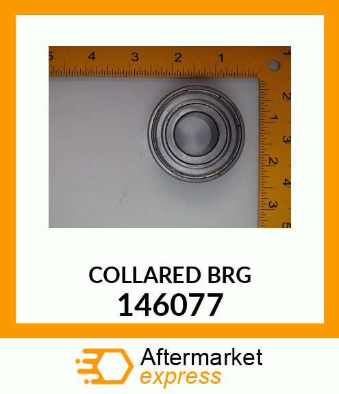 COLLARED BRG 146077