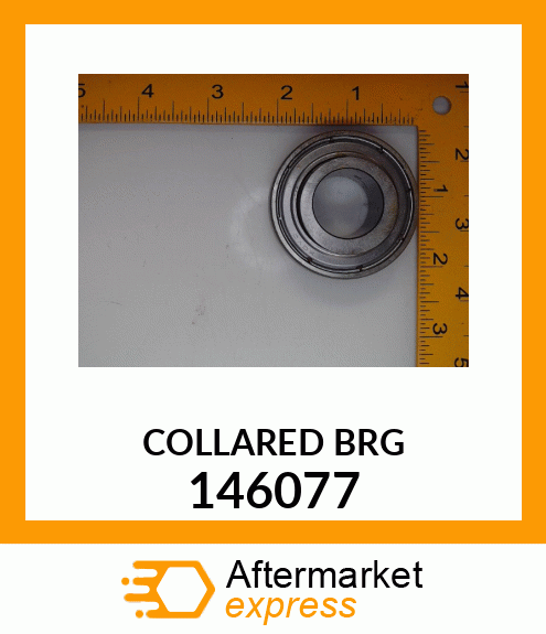 COLLARED BRG 146077