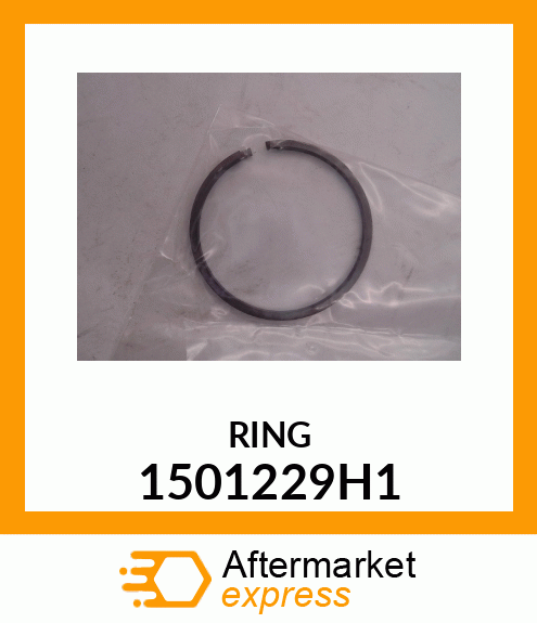 RING 1501229H1
