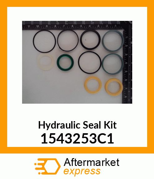 Seal Kit 1543253C1