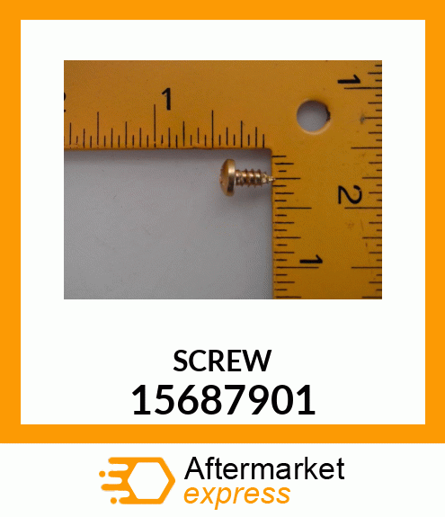 SCREW 15687901