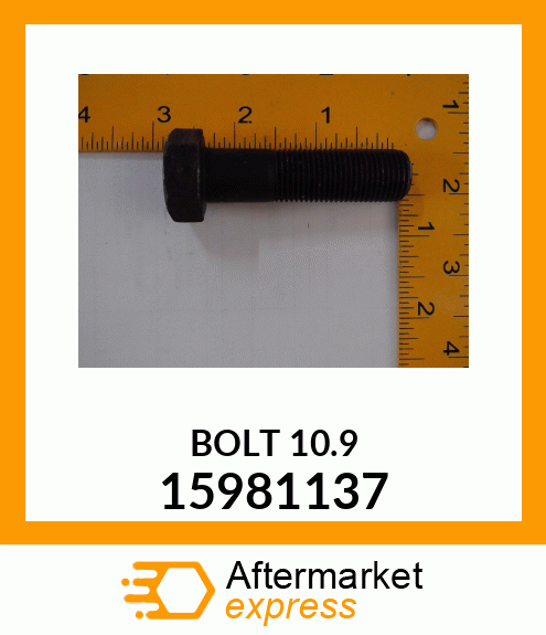 BOLT 10.9 15981137