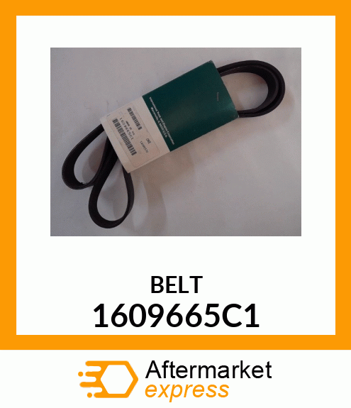 BELT 1609665C1