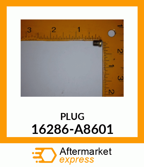 PLUG 16286-A8601