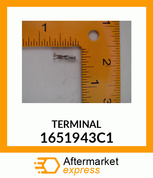 TERMINAL 1651943C1