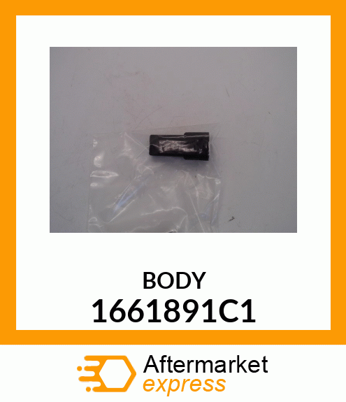 BODY 1661891C1