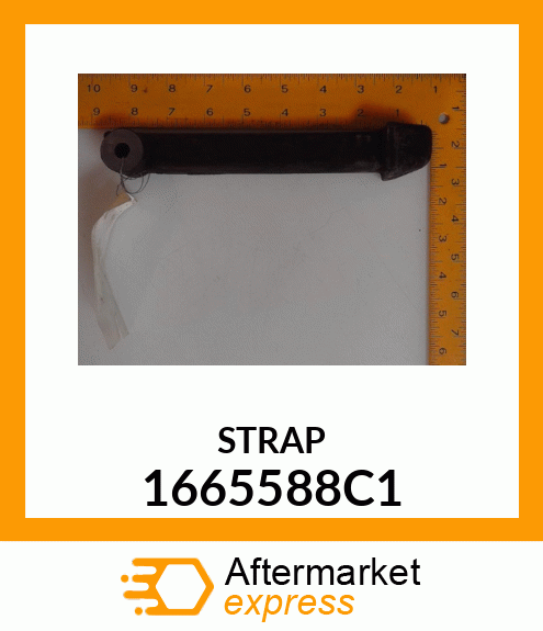 STRAP 1665588C1