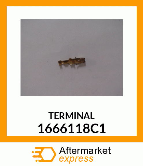 TERMINAL 1666118C1