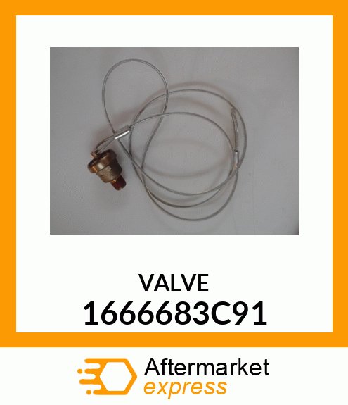 VALVE 1666683C91