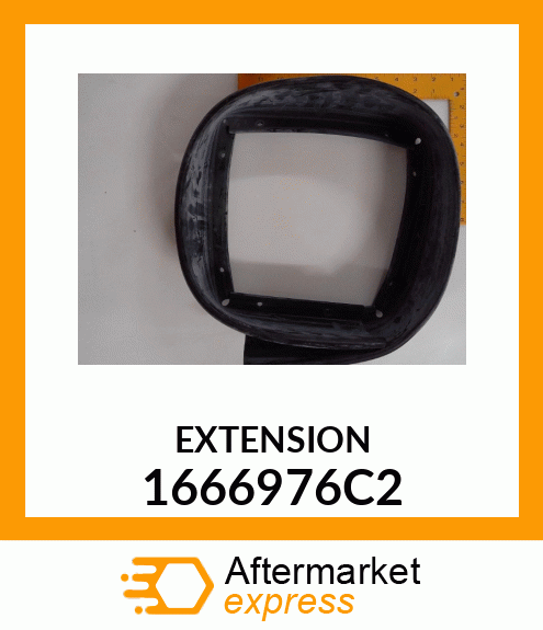 EXTENSION 1666976C2