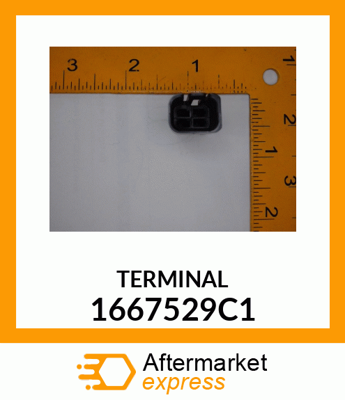 TERMINAL 1667529C1